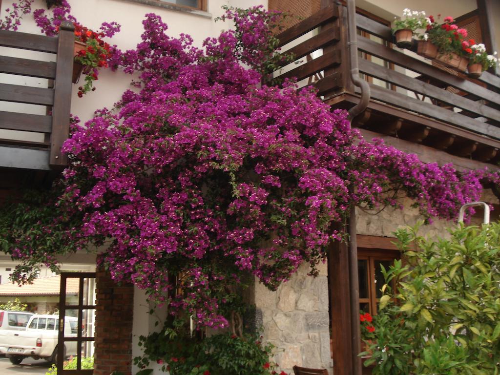 Moran Playa Hotel Celorio  Exterior foto